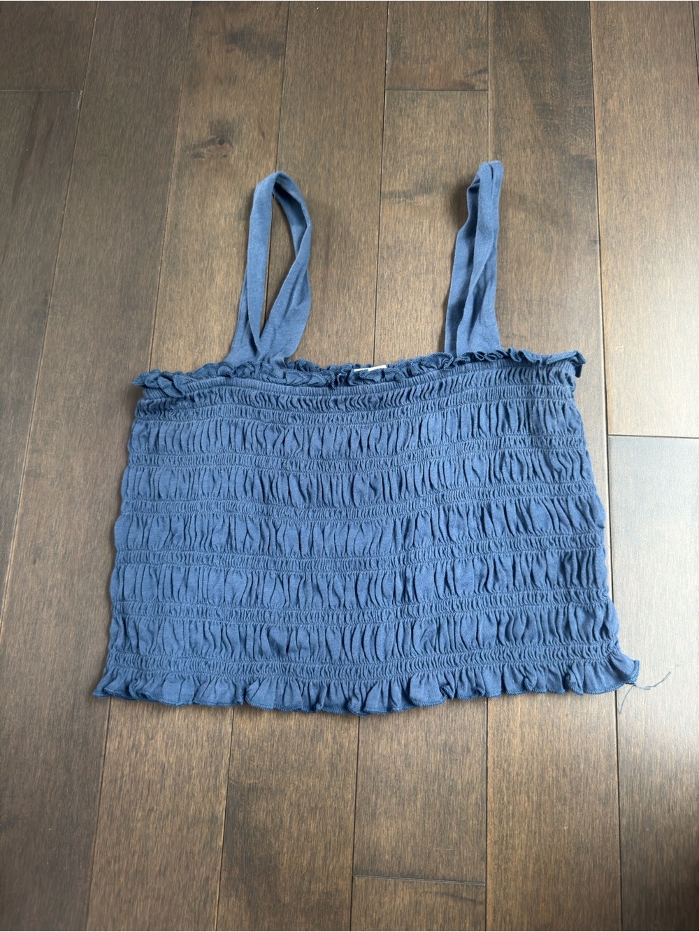 American Eagle Outfitters Blue Smocked Cropped Cami